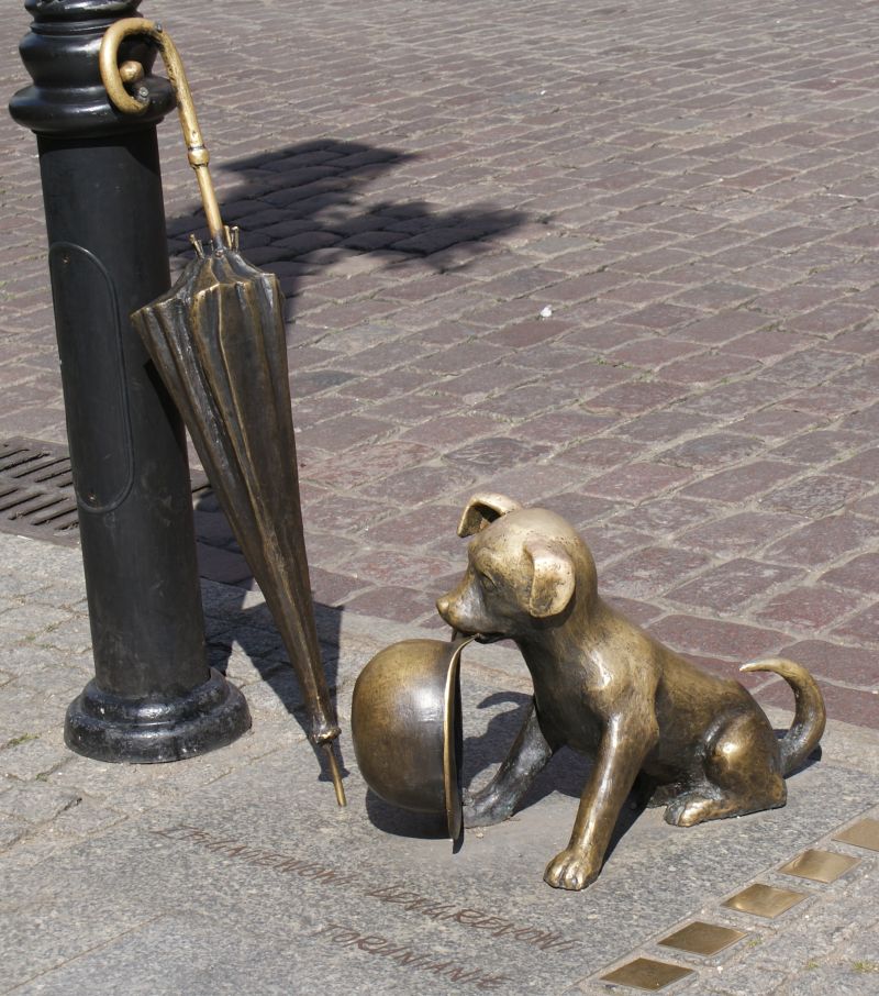 Pomnik Toruń pies filutka